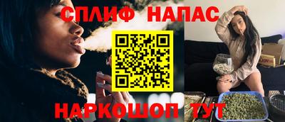 МДПВ Моздок