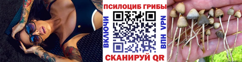 Псилоцибиновые грибы мухоморы  Полевской 