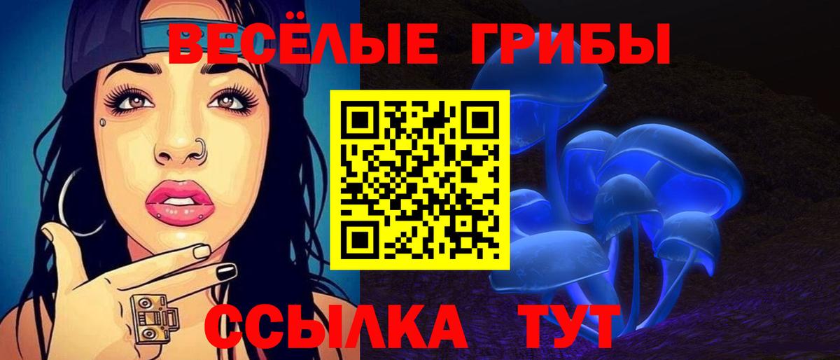 Псилоцибиновые грибы MAGIC MUSHROOMS  Вход с VPN  Полевской  Псилоцибиновые грибы мицелий 